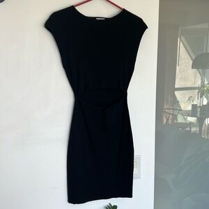 ARITZIA Dress